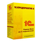 1С: Предприятие 8. Сервер МИНИ